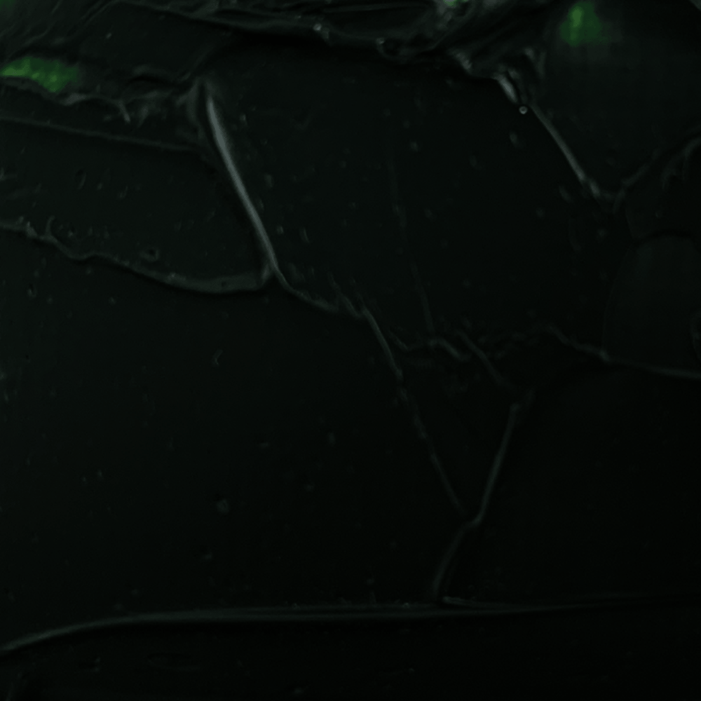 OLEO-PRO.40ML SERIE 1 TERRE VERTE RF483      