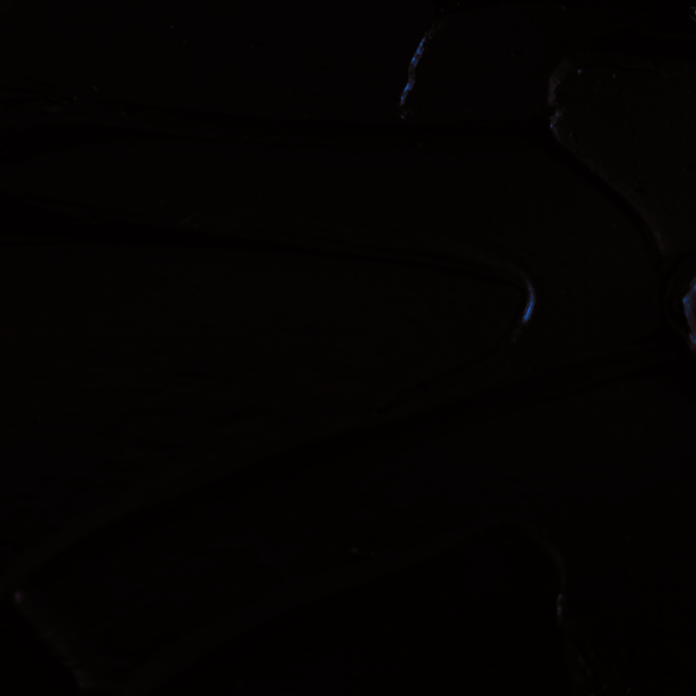 ÓLEO LEFRANC S2 PARDO TRANSPARENTE 110     