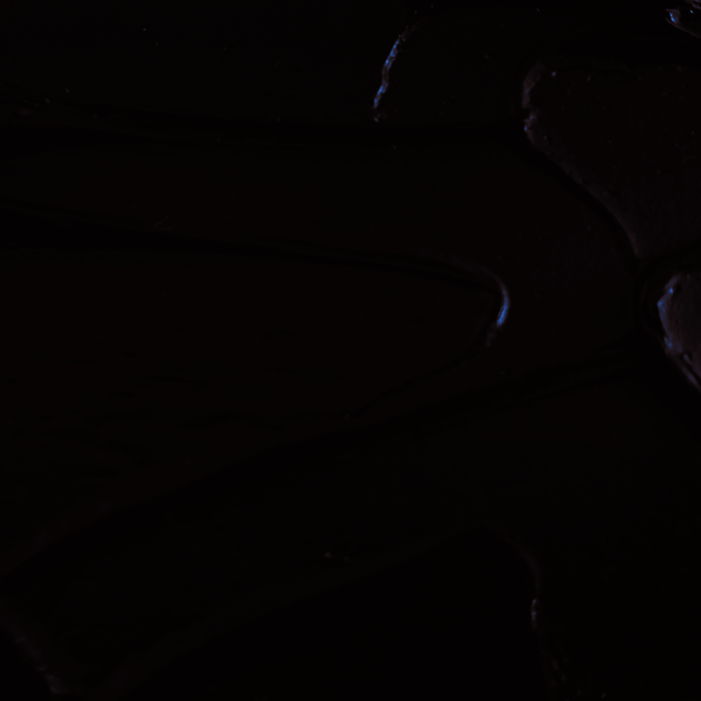 ÓLEO LEFRANC S1 PARDO VAN DYCK 111    