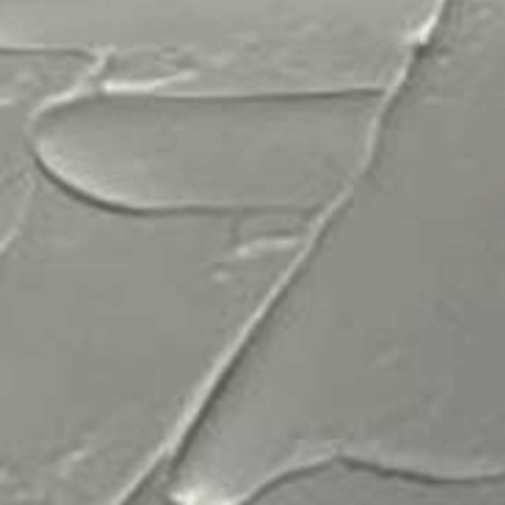 ÓLEO LEFRANC S1  BLANCO TITANIO ZINC 013 