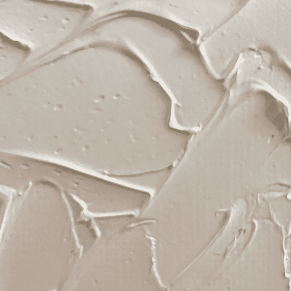 OLEO-PRO 200ML SERIE 1 BLANCO TITANIO RF 008 LEFRANC