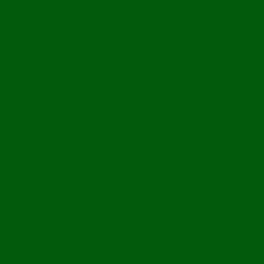 OLEO LEF. FINE 40ML LIGHT GREEN 556          
