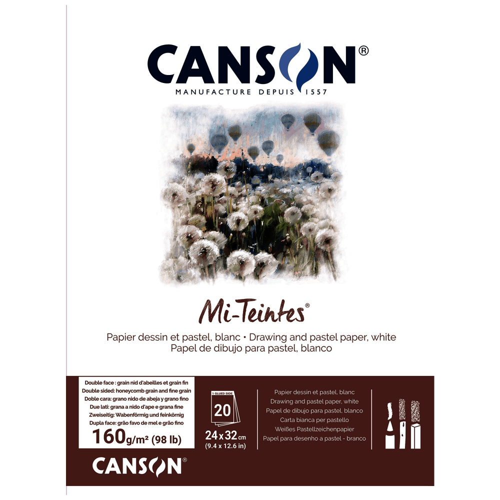 BITACORA CANSON MI-TEINTES 24X32CM 160G 20H BLANC C31027P001