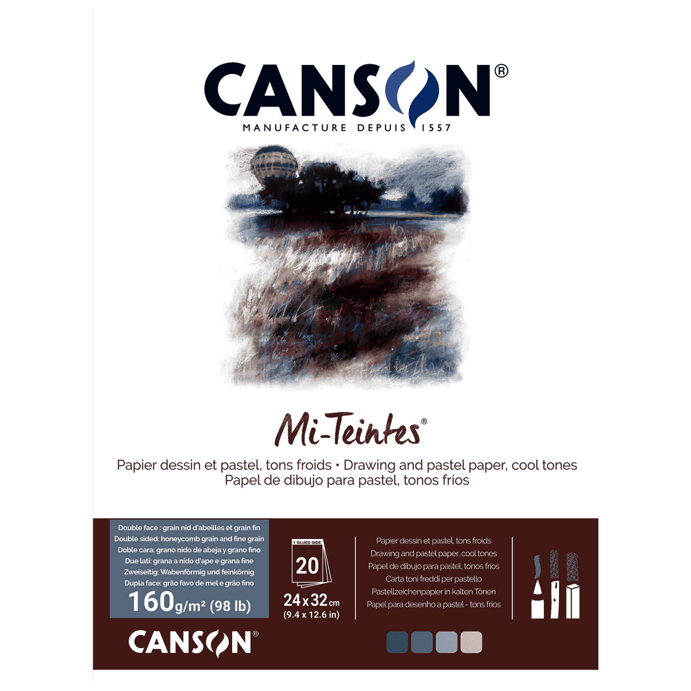 BITACORA CANSON MI-TEINTES 24X32CM 160G 20H GRISE C31032P005