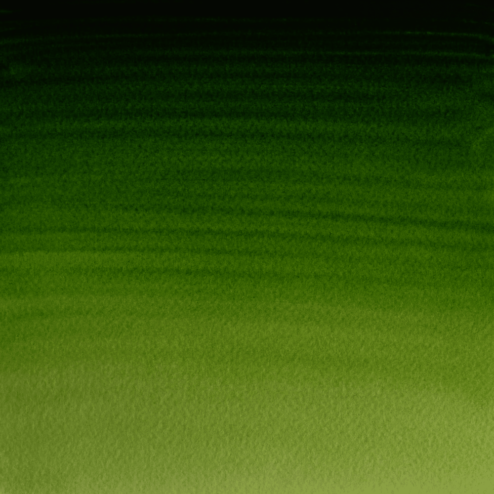 ACUARELA W&N PROF. 5ML S1 RF 503 VERDE VEJIGA PERMANENTE