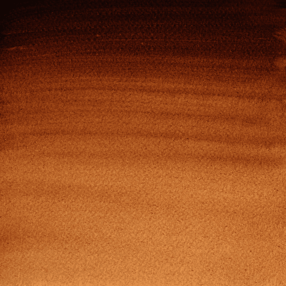 ACUARELA W&N PROF. 5ML S1 RF 076 TIERRA DE SOMBRA TOSTADA