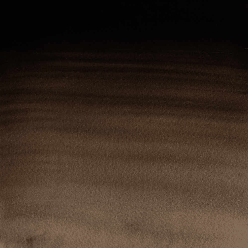 ACUARELA W&N PROF. 5ML S1 RF 609 SEPIA