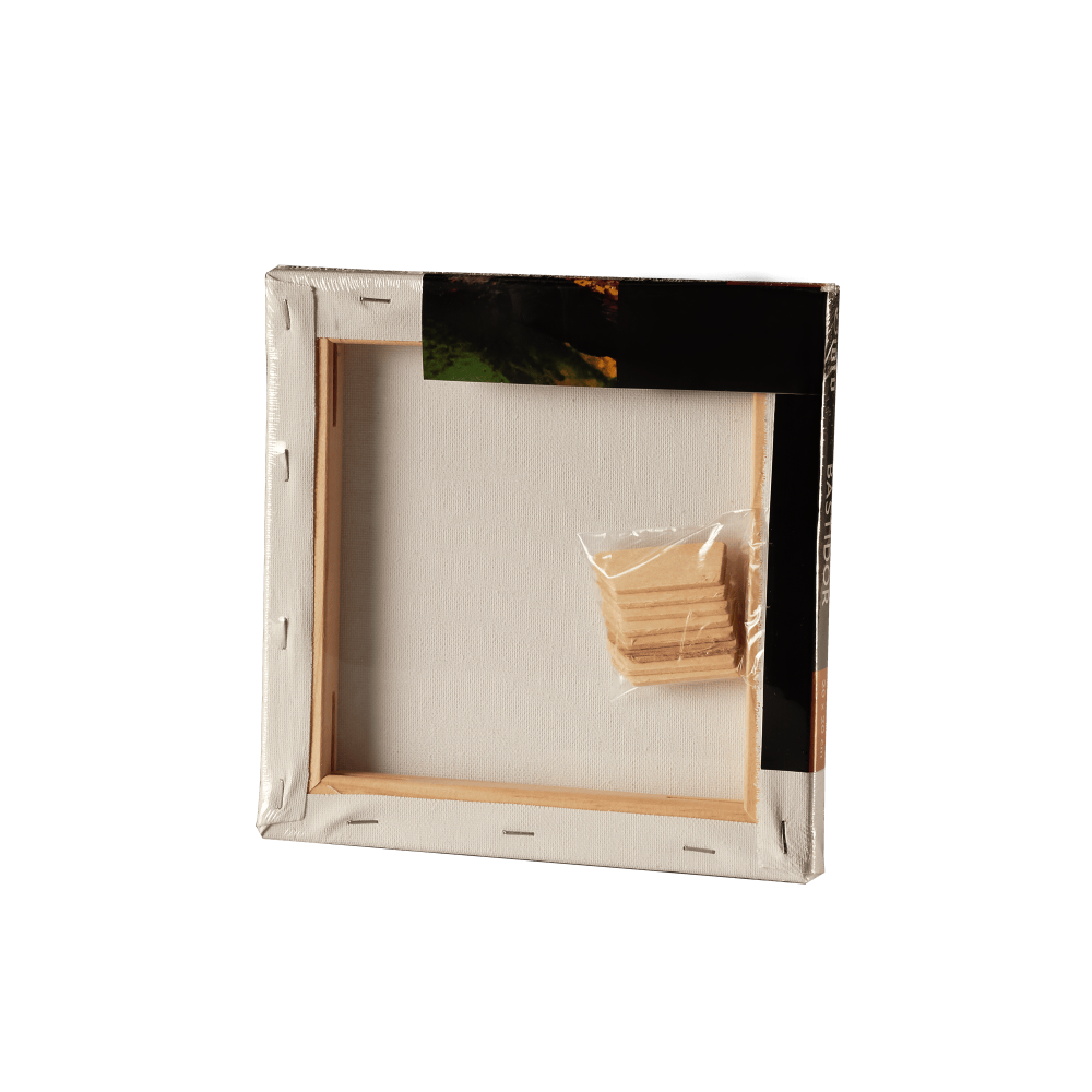 BASTIDOR GIOTO 20X20CM 280GR 100% ALG E5309