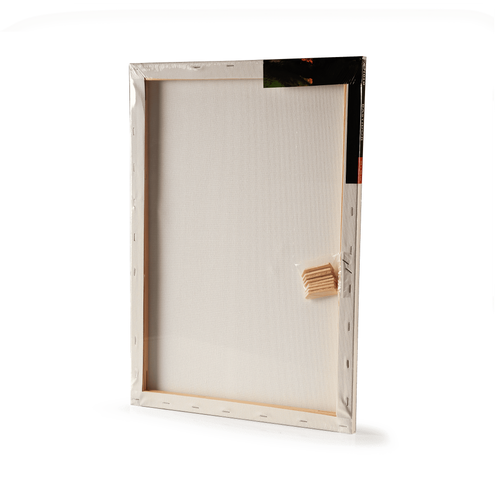 BASTIDOR GIOTO 35X50CM 280GR 100%ALGO E5309