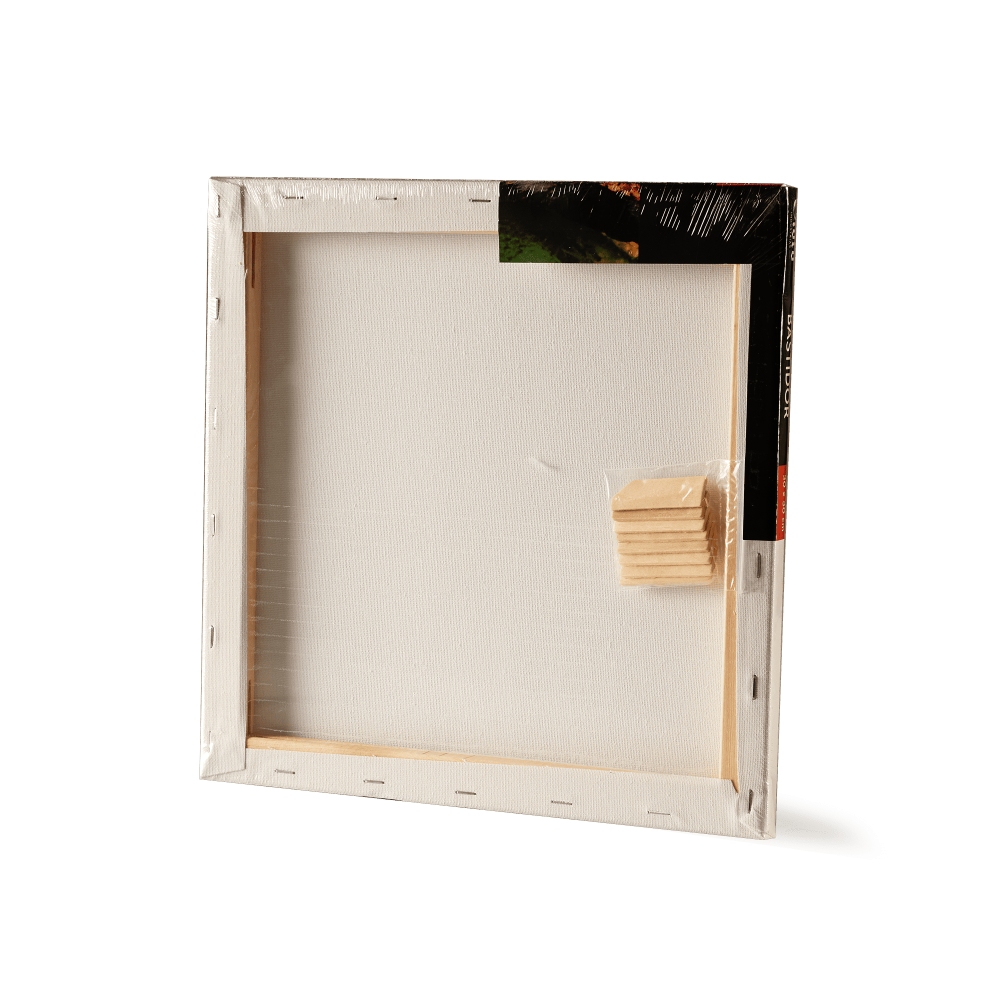 BASTIDOR GIOTO30X30CM 280GR 100%ALGO E5309