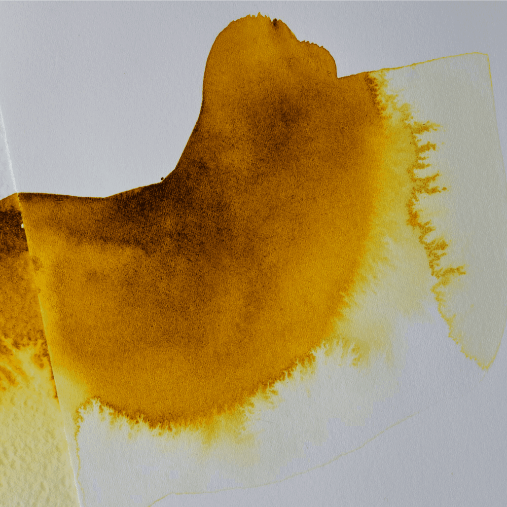 HIEL DE BUEY PARA ACUARELA WINSOR & NEWTON 75ML 