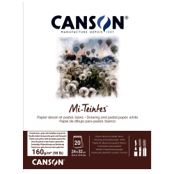 BITACORA CANSON MI-TEINTES 24X32CM 160G 20H BLANC C31027P001