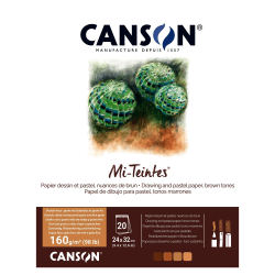 BITACORA CANSON MI-TEINTES 24X32CM 160G 20H MARRONC31032P001