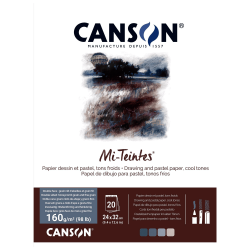 BITACORA CANSON MI-TEINTES 24X32CM 160G 20H GRISE C31032P005
