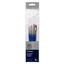 JUEGO PINCEL WINSOR COTMAN NYLON X5 CORTO MIXTO RF 5390609     